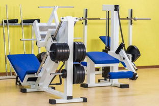 智能健身助手 多媒体产品详解健身器械使用与参数